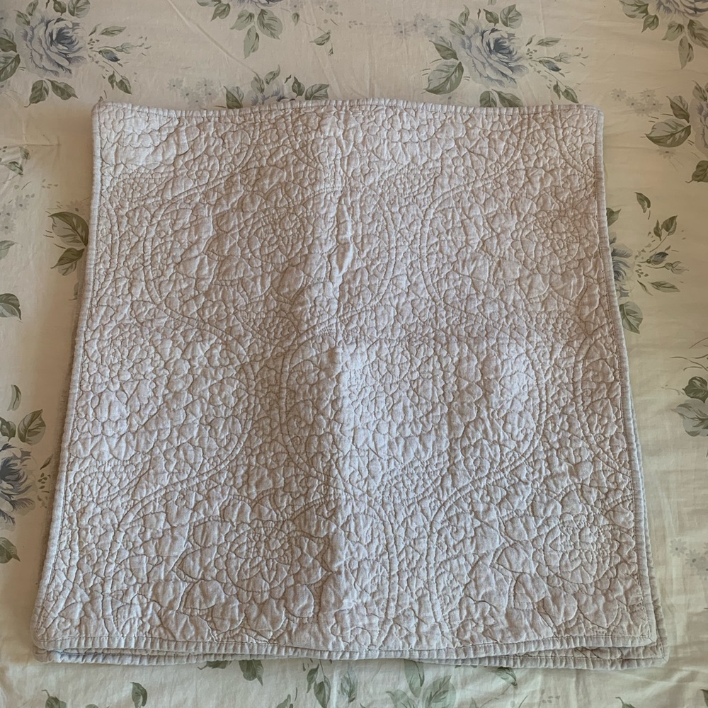 Pottery Barn Euro shams